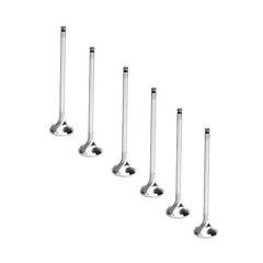 DS 45013-Brian Crower Toyota 2Jz GTE 34.6mm Intake Valve Set / 12- BC3302