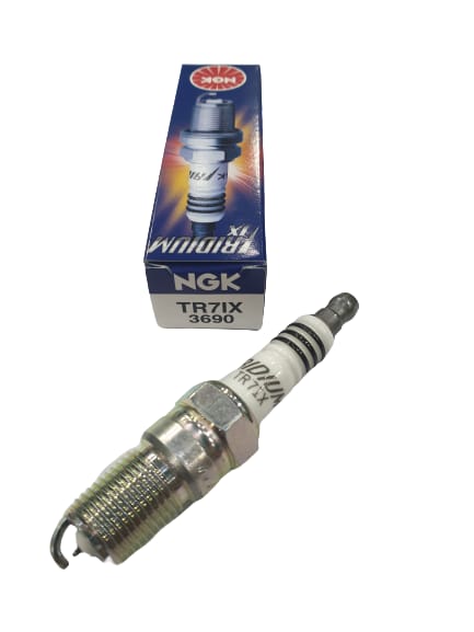 DS 10028-NGK 3690 TR7IX IX Iridium Plug